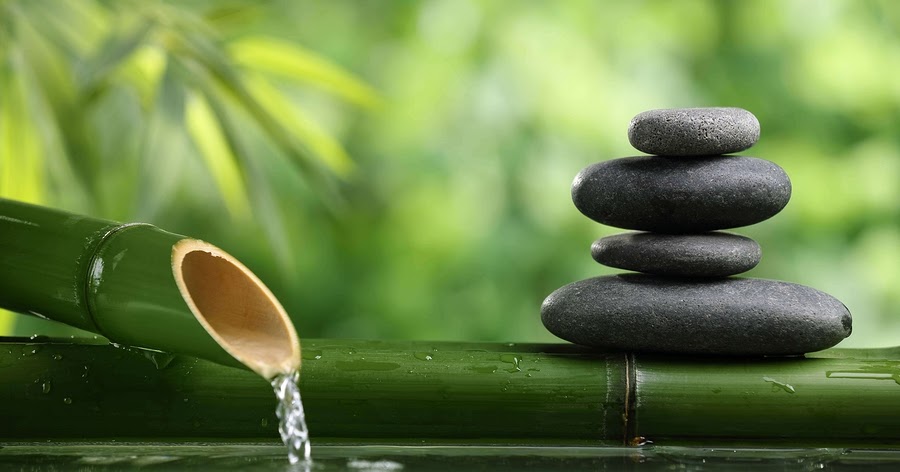 Cân bằng nội tâm, ngay thẳng như cây tre và nhu hoà như nước